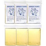 Coperta Isotermica oro/argento